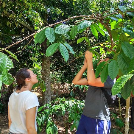 Banyu Homestay Banyuwangi  Εξωτερικό φωτογραφία