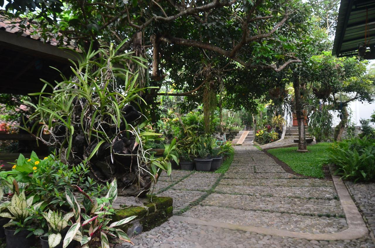 Banyu Homestay Banyuwangi  Εξωτερικό φωτογραφία