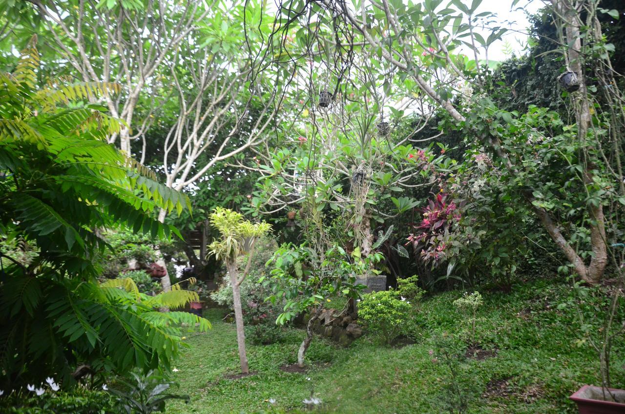 Banyu Homestay Banyuwangi  Εξωτερικό φωτογραφία