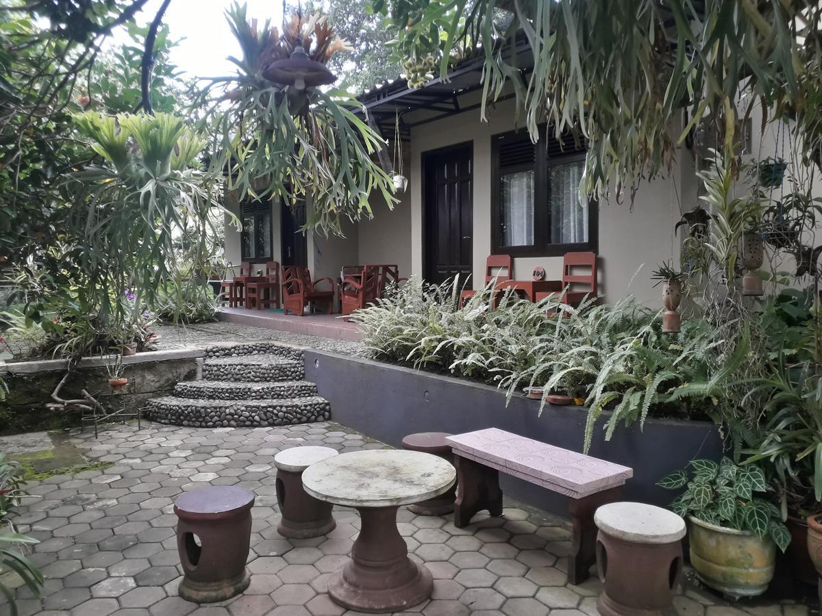 Banyu Homestay Banyuwangi  Εξωτερικό φωτογραφία