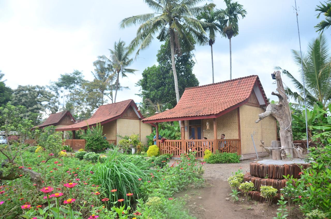 Banyu Homestay Banyuwangi  Εξωτερικό φωτογραφία