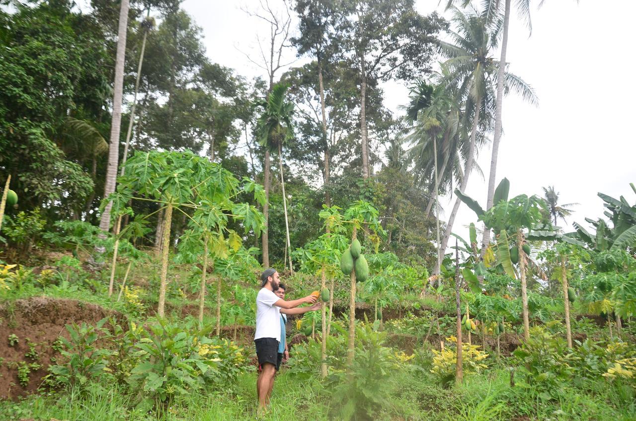 Banyu Homestay Banyuwangi  Εξωτερικό φωτογραφία