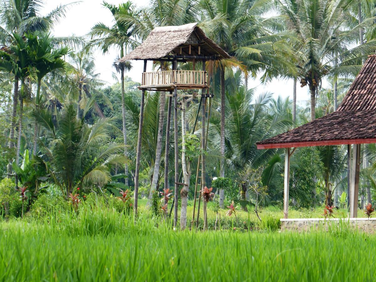 Banyu Homestay Banyuwangi  Εξωτερικό φωτογραφία