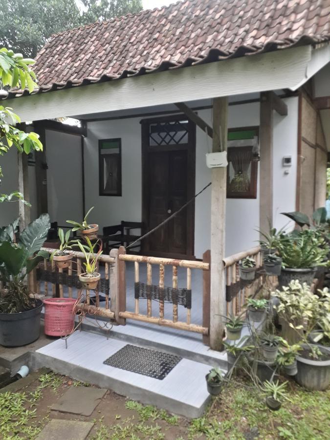 Banyu Homestay Banyuwangi  Εξωτερικό φωτογραφία
